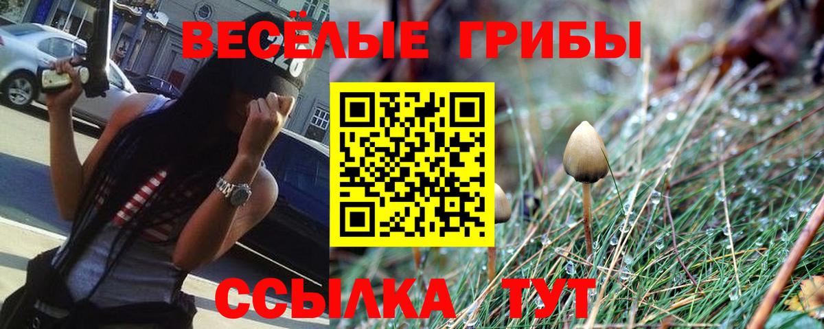 Псилоцибиновые грибы GOLDEN TEACHER  Вход с VPN  Ессентуки  Псилоцибиновые грибы Psilocybe 