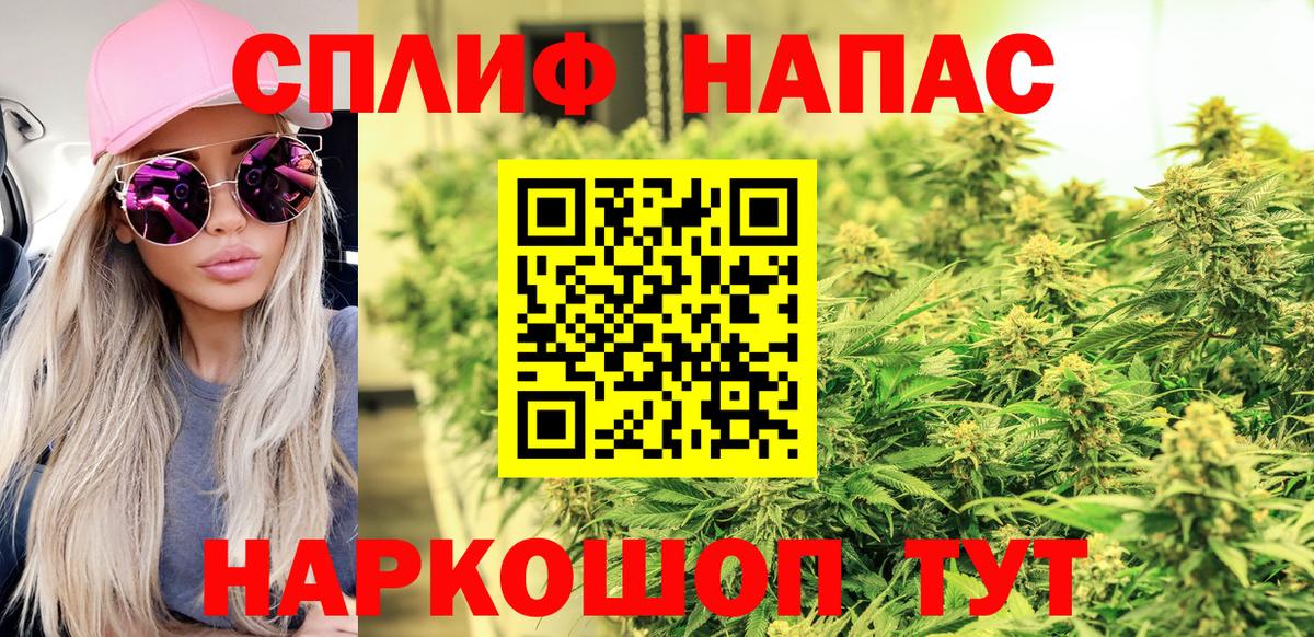 Марихуана сатива Ессентуки